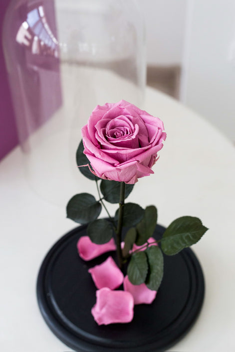 Unique rose