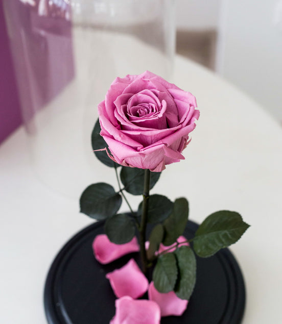 Unique rose